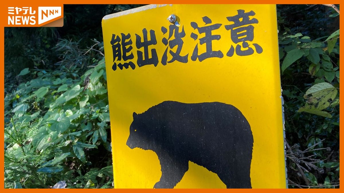 「クマが道路に飛び出して…」仙台市泉区の県道でクマと軽貨物車が衝突　運転手にけがなし　