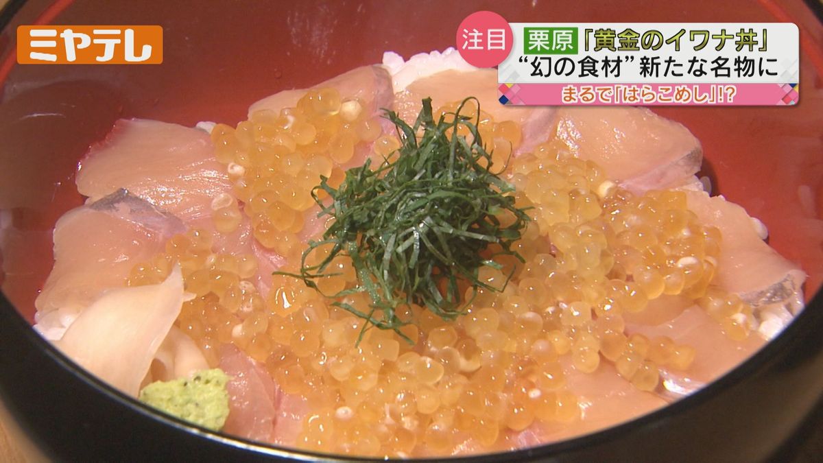 【宮城名物「はらこめし」のような？？新メニュー】名産・イワナとその卵を使った「黄金のどんぶり」とは（宮城・栗原市）