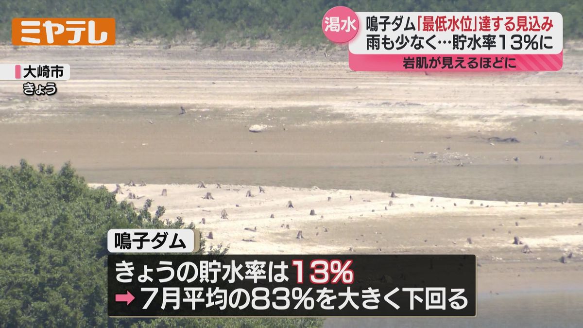 鳴子 ダム 貯水 率
