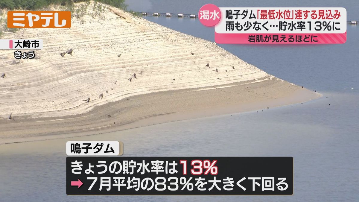 鳴子 ダム 貯水 率