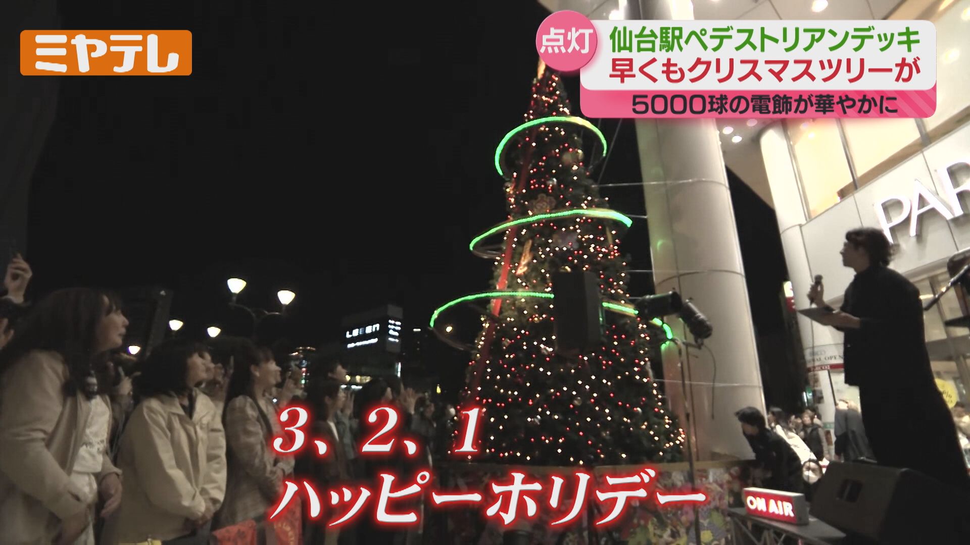 早くも！＞『クリスマスツリー』登場 去年より1000球多い約5000球灯る
