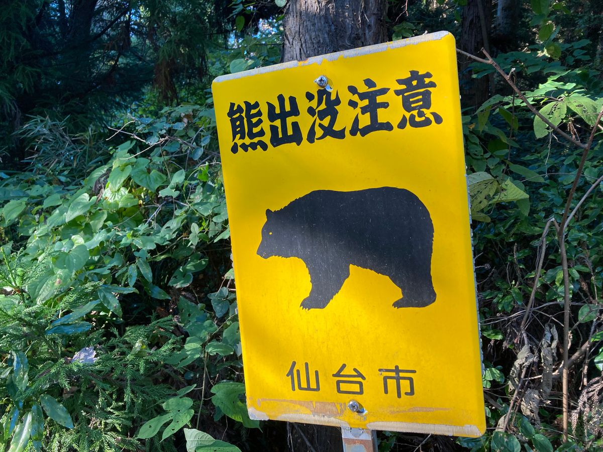 【クマ目撃】ロケット花火で威嚇し警察が山へ帰す ＜宮城・鳴子温泉＞