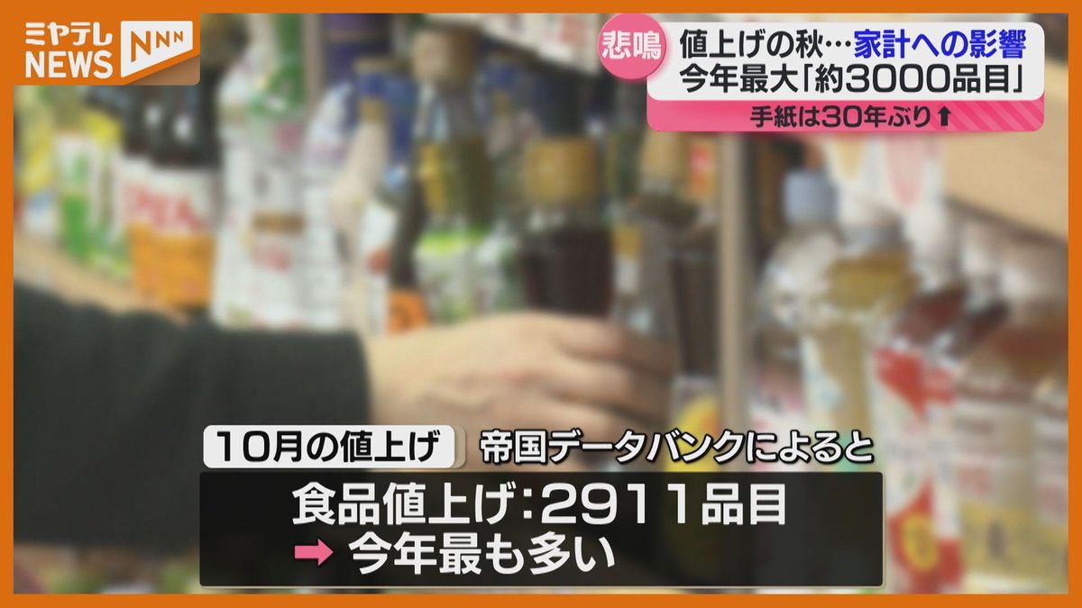 手紙が一律110円に　今年最大規模の「値上げラッシュ」いま家計の味方になってくれる食材は？