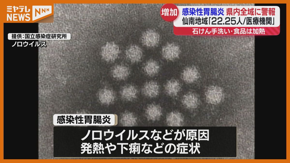 感染性胃腸炎、宮城県に警報…3週連続で増加中　石けん使用した手洗いや十分な加熱を