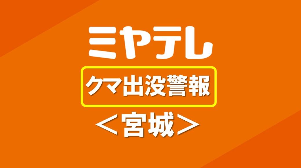 【クマ出没「警報」発表】ツキノワグマ目撃「1.88倍(過去5年比)」＜宮城＞