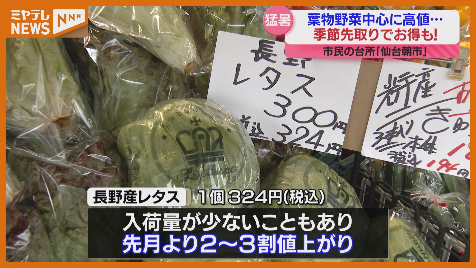 猛暑の影響で葉物野菜の価格上昇↑ 今後の価格は？お買い得の野菜は