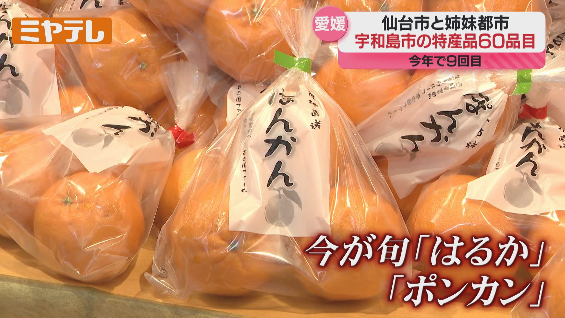 美味しかったので一箱」宇和島市の特産品フェア 仙台・秋保ヴィレッジ