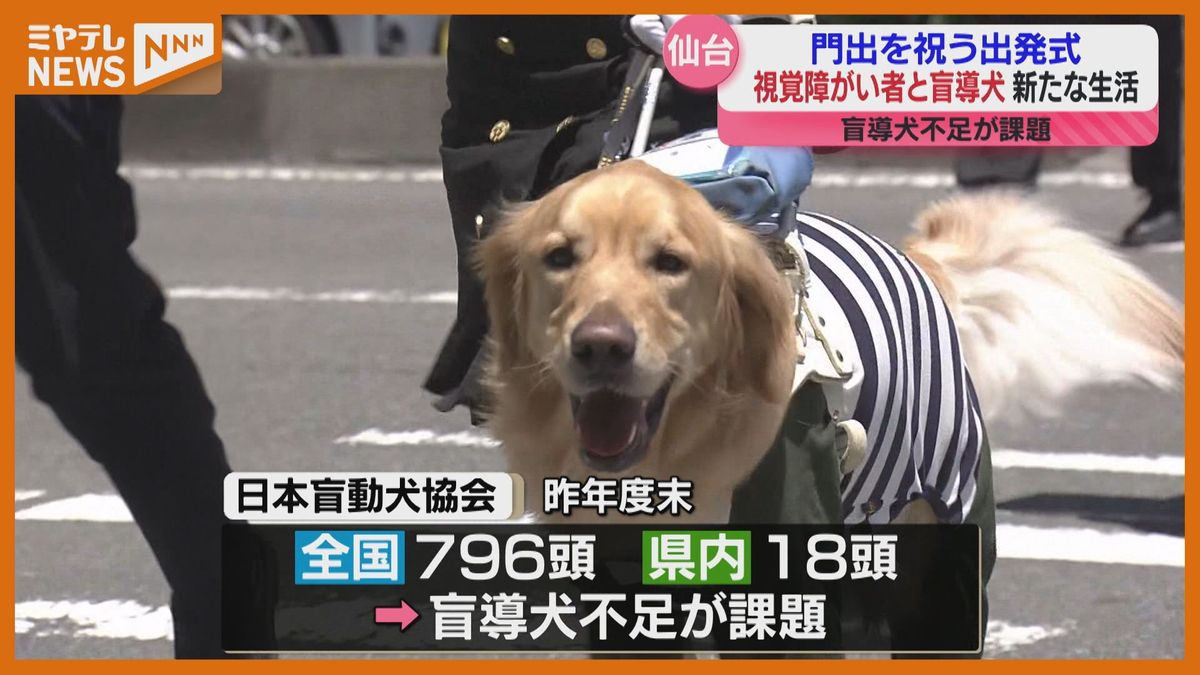 盲導犬、新たな生活スタート　視覚に障害ある人と訓練終えた盲導犬ペアの門出祝う＜仙台市＞