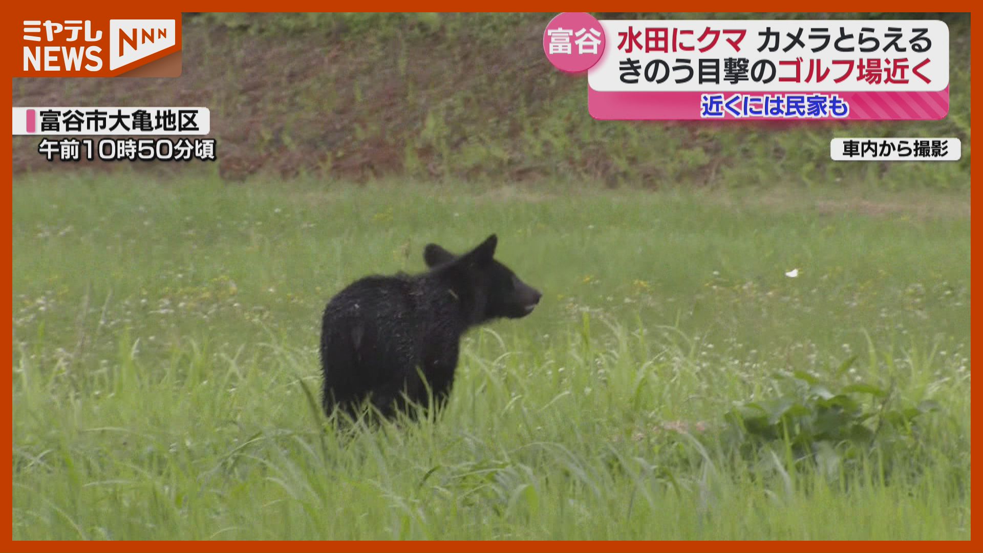 私もその辺に田んぼあるから、おっかない」テレビカメラがクマ撮影