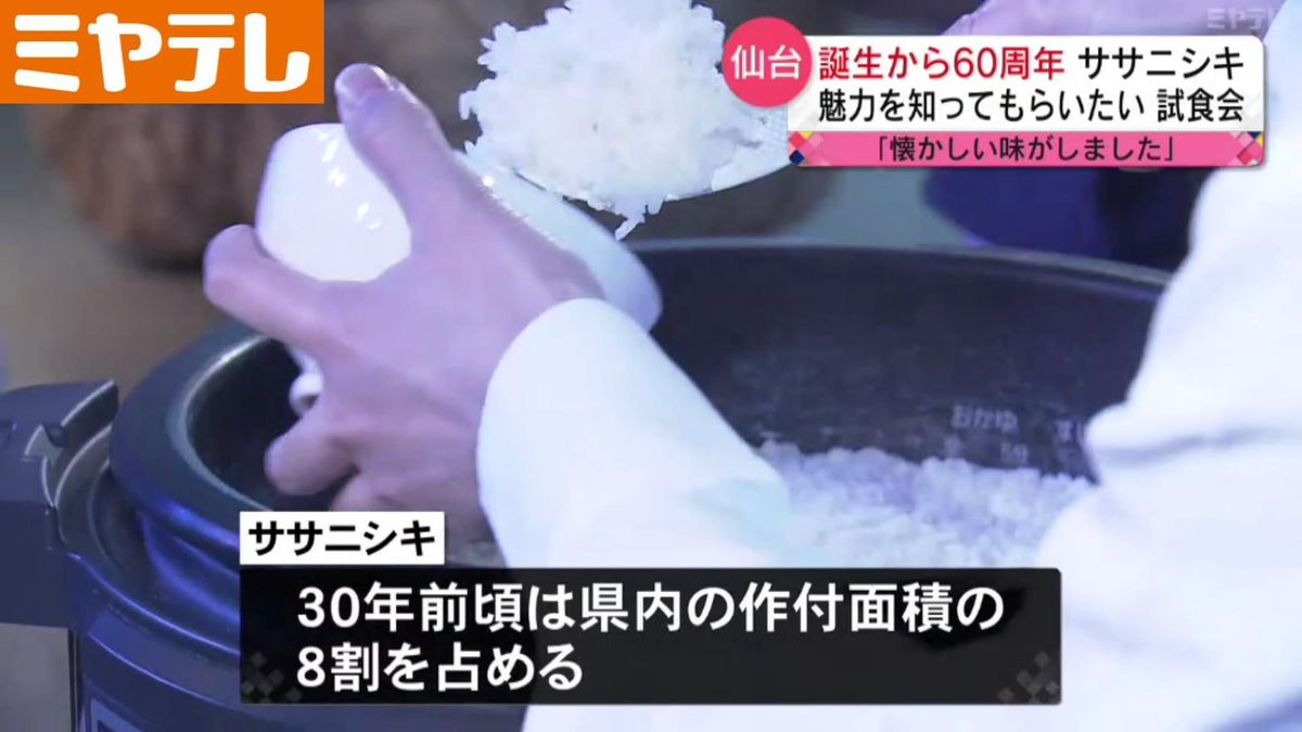 【ササニシキ60周年】〝還暦〟の魅力を多くの人に＜寿司・和食で人気＞
