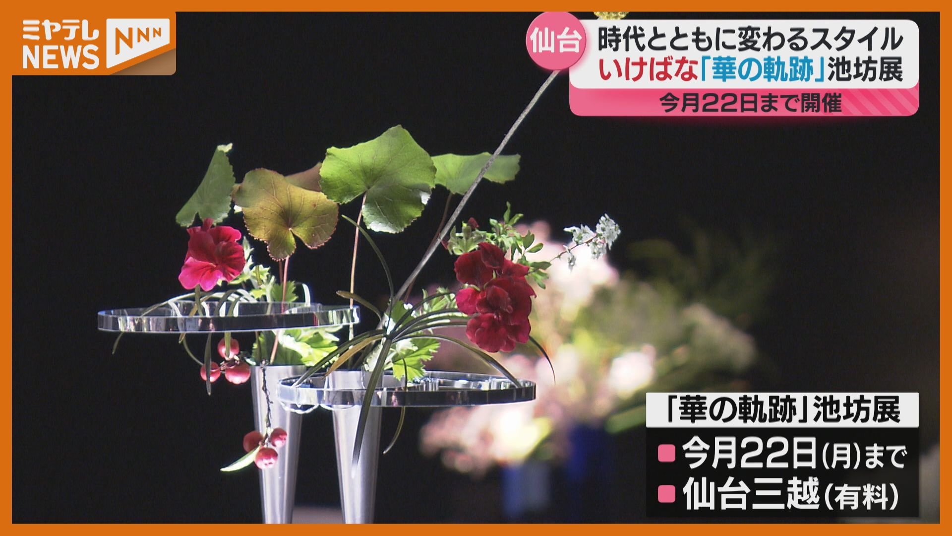 貴重!! 桑材花台』No，297 華道 生け花 花台 習字台 飾り台 盆栽台