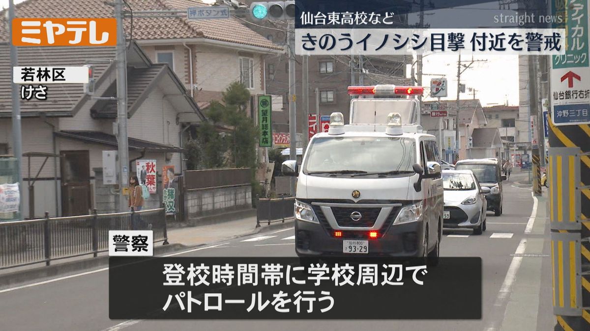 【イノシシ警戒中】仙台市若林区の住宅街で複数の目撃情報　24日も通学路などで警戒