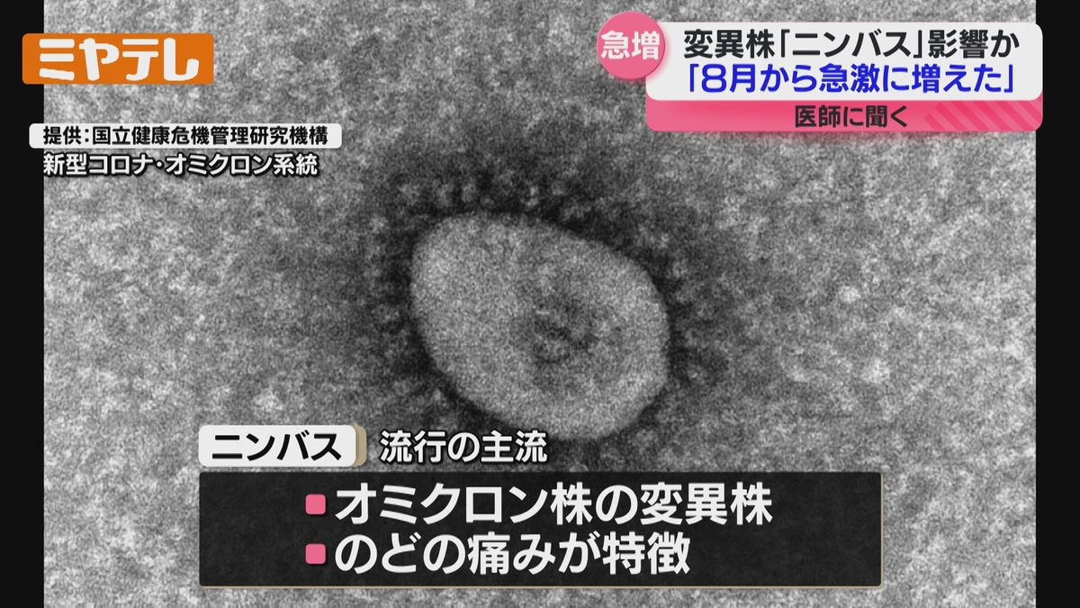 特徴は？】医師に聞く新型コロナ・変異株「ニンバス」、患者数が今シーズン最多を更新（宮城）（2025年9月11日掲載）｜ミヤテレNEWS NNN