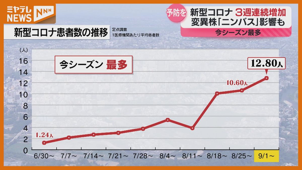 特徴は？】医師に聞く新型コロナ・変異株「ニンバス」、患者数が今シーズン最多を更新（宮城）（2025年9月11日掲載）｜ミヤテレNEWS NNN