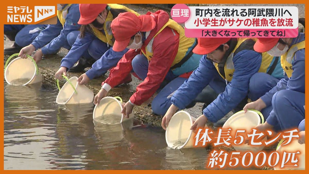 「大きくなって帰ってきてね」子どもたちがサケの稚魚放流…郷土料理はらこめしを学ぶ