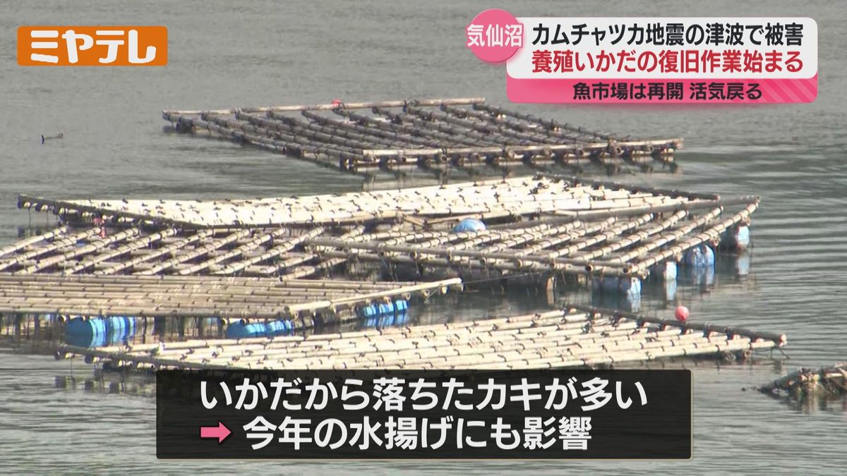 津波被害