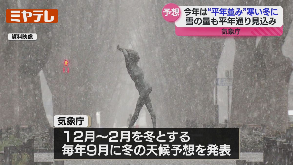 今年 冬 寒い