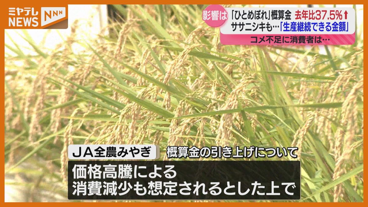 「農家は喜ぶけども消費者は出費が多く…複雑な気持ち」米の概算金は去年比37.5％UP　生産コスト高止まりふまえ