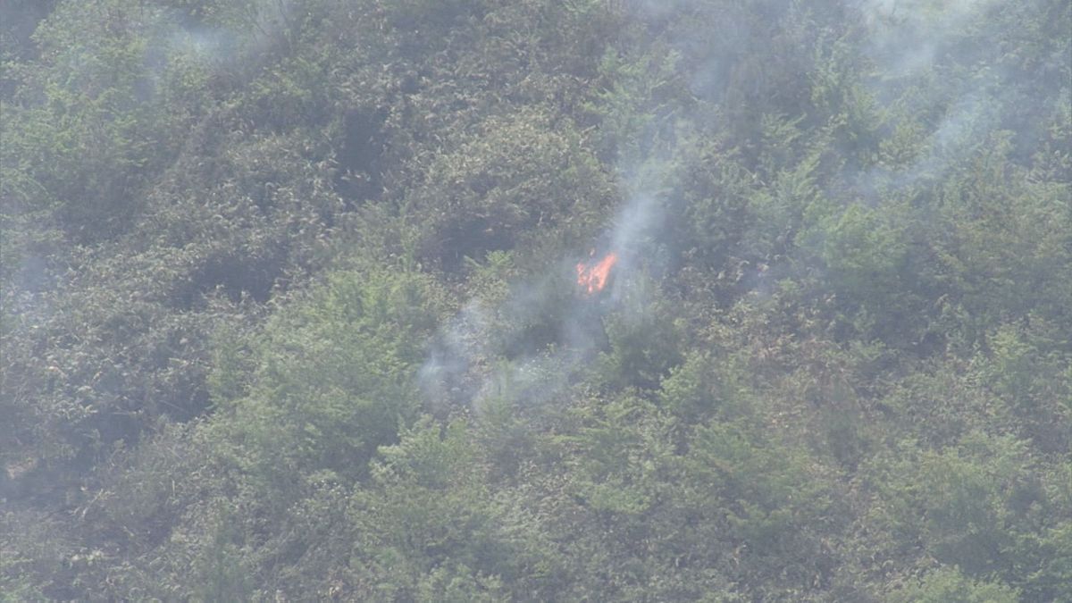 「山から煙が見える」近隣住民から１１９番通報 消防が対応中＜仙台・青葉区芋沢の山林＞