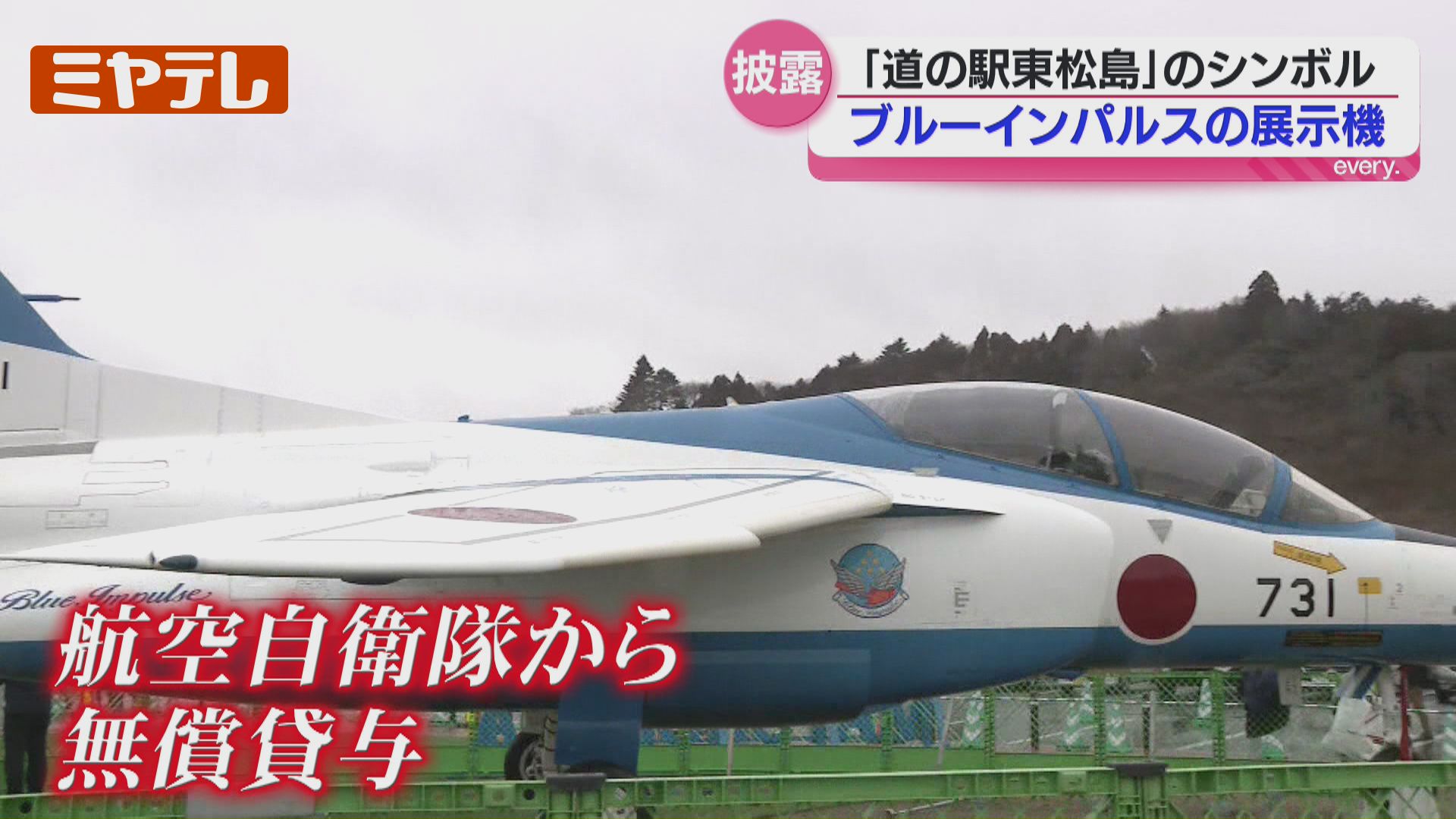 目の前で見てすごく圧巻！」“ブルーインパルス”展示機 お披露目＜宮城