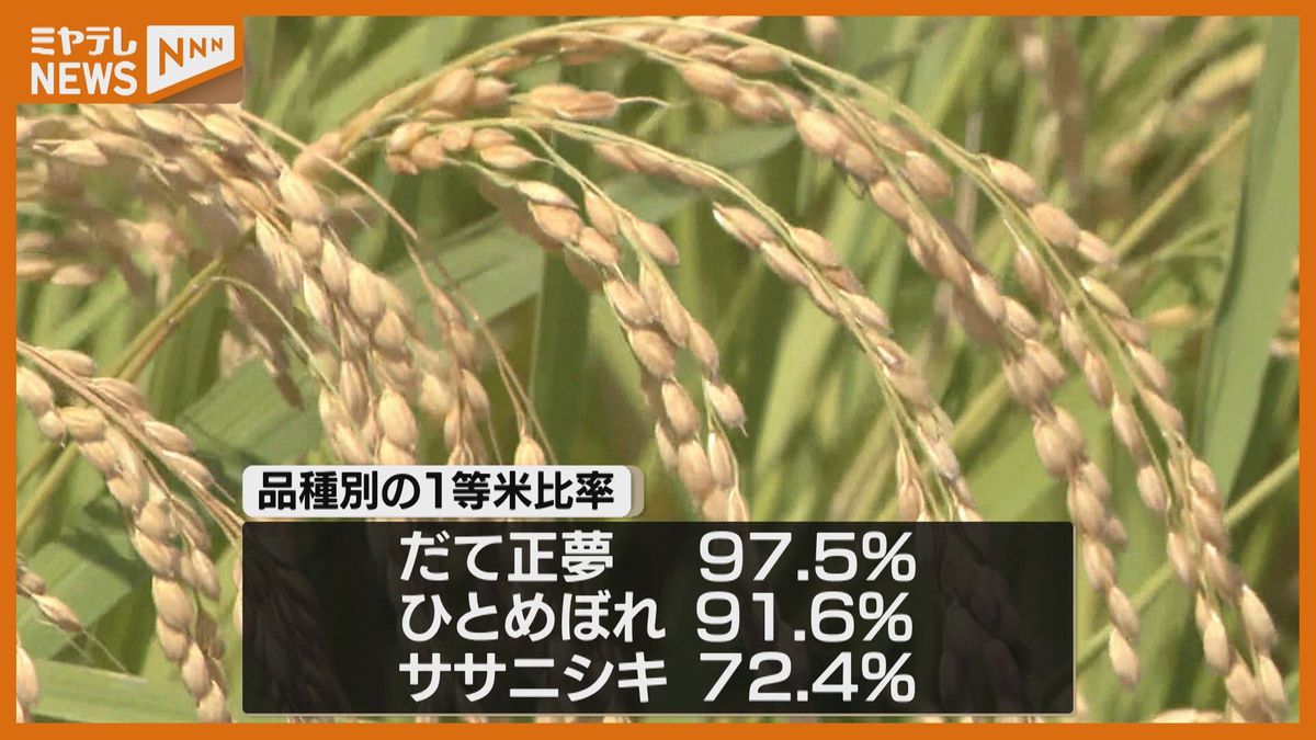 ＜1等米比率”90.2％”＞宮城で収穫された新米の品質検査　高温障害等の影響あった去年上回る（9月末現在）