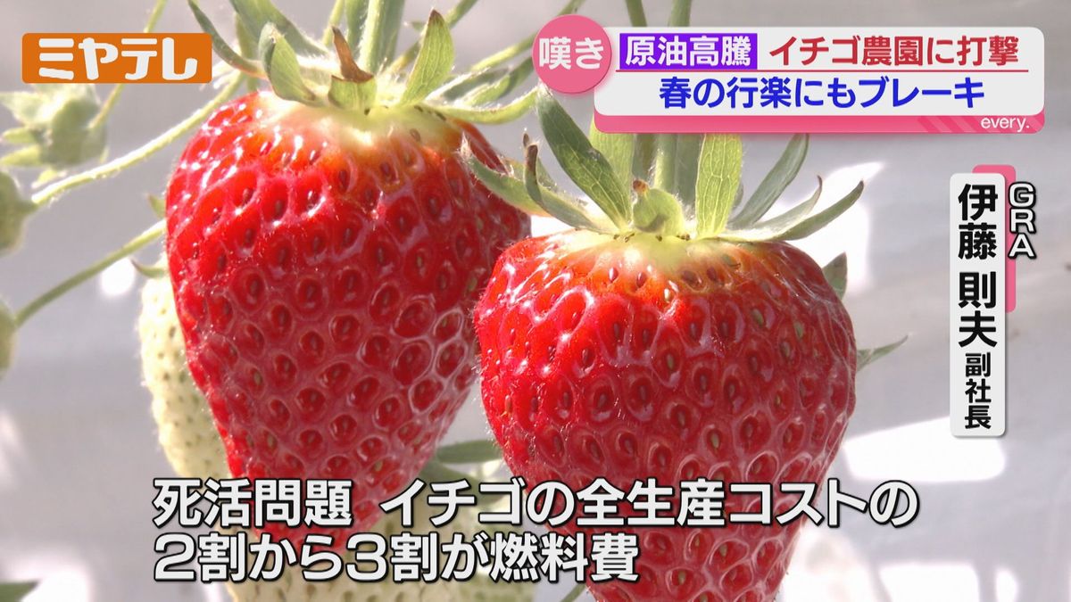 財布のひも締まる、土産がいつもより少ない」原油価格が高止まり…春の 