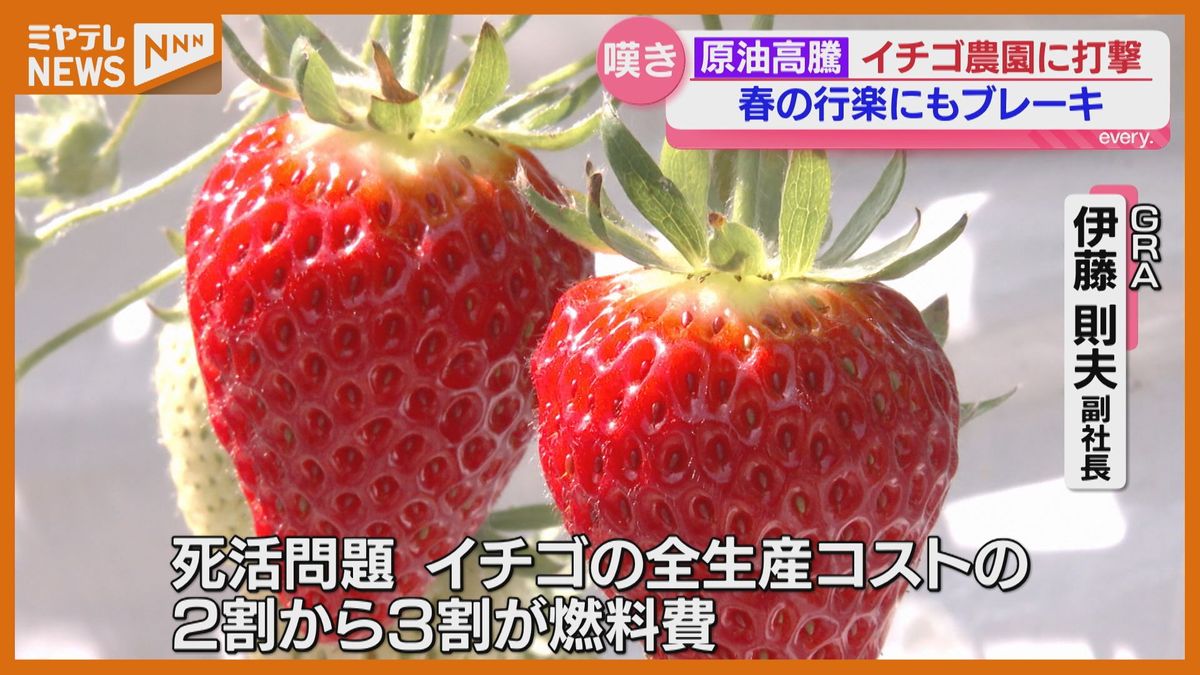 財布のひも締まる、土産がいつもより少ない」原油価格が高止まり…春の 