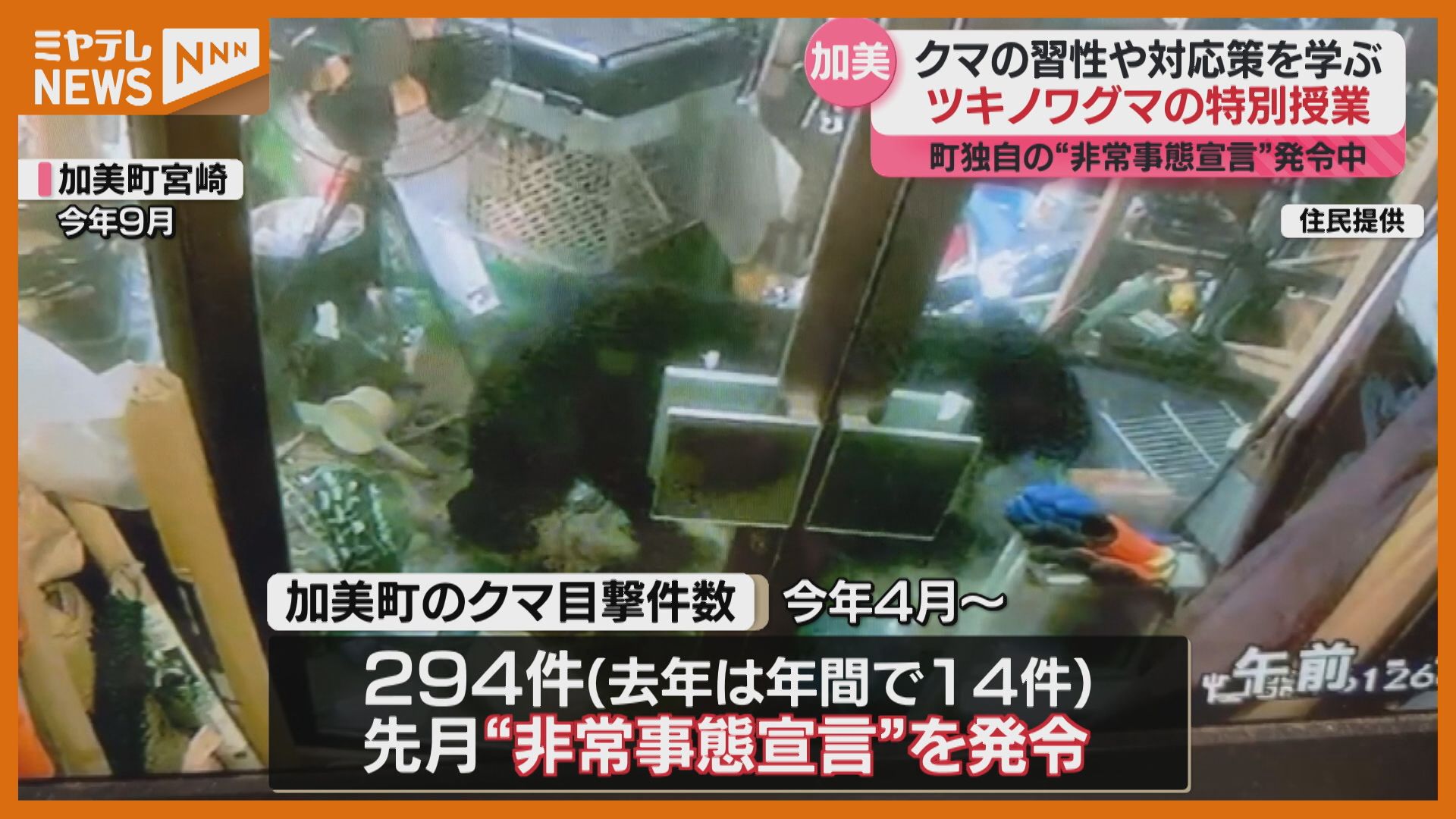 町独自で『クマ出没非常事態宣言』発令中、小学校でツキノワグマの習性