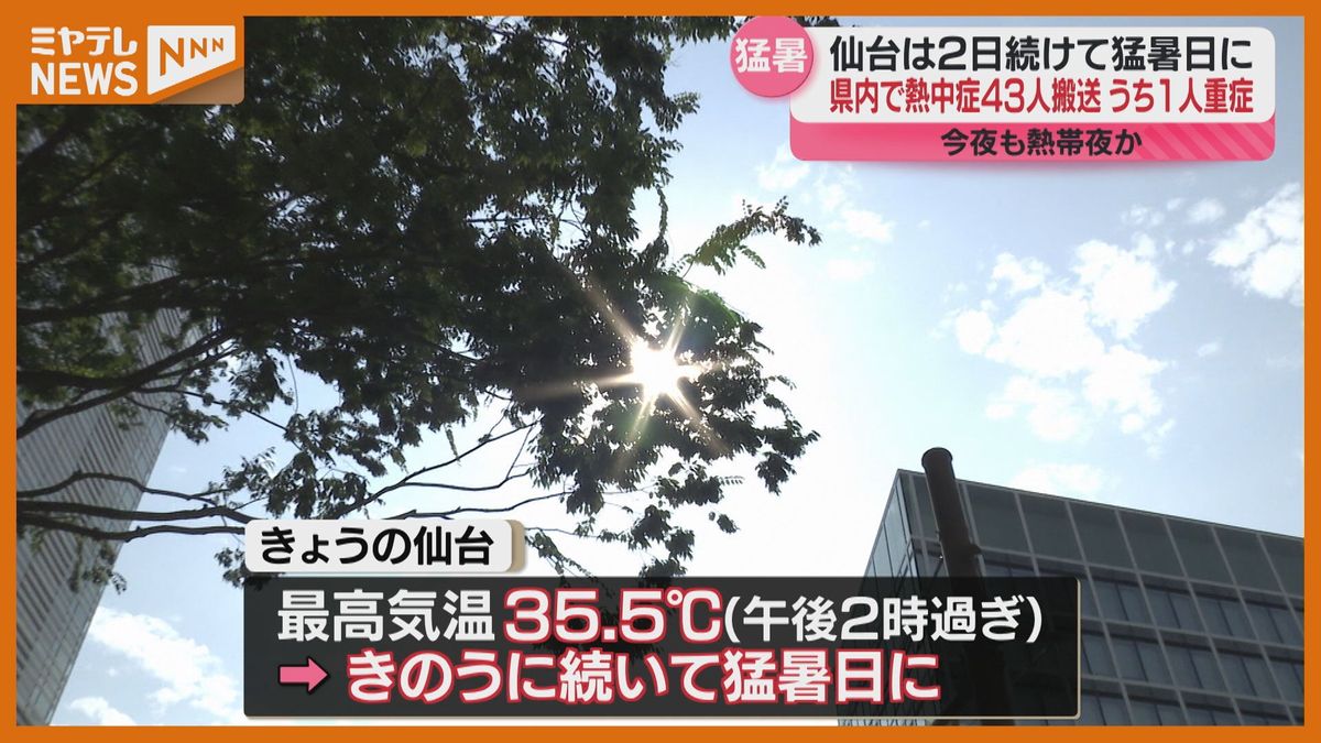 熱中症疑いで43人搬送　宮城県内7地点で猛暑日　今夜も夜間の熱中症に注意