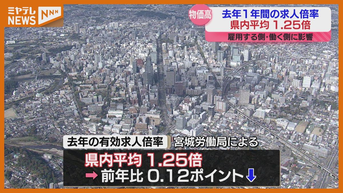 2024年の有効求人倍率は1.25倍、人手不足も物価高騰で…宮城