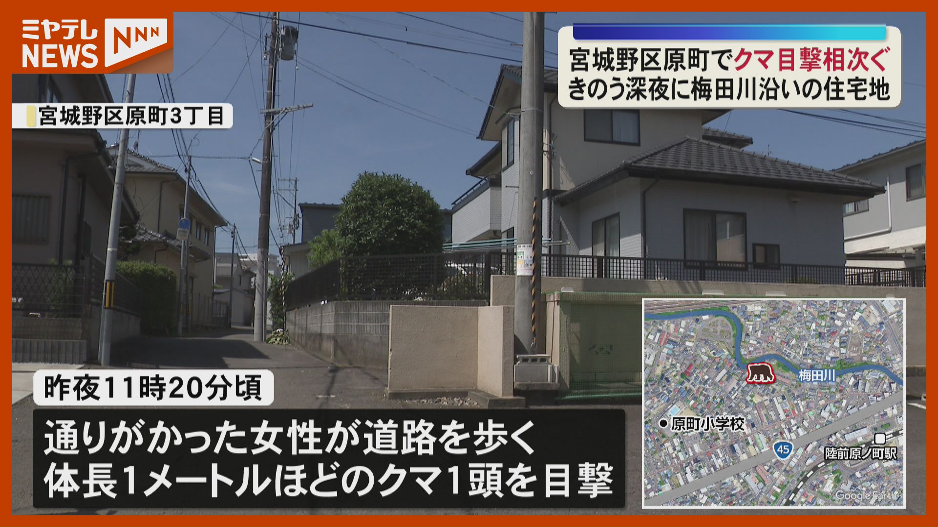 たまくま　発送予定日3/3 深夜の住宅街にクマが出没 警察が警戒呼びかけ＜宮城・仙台＞（2026年7