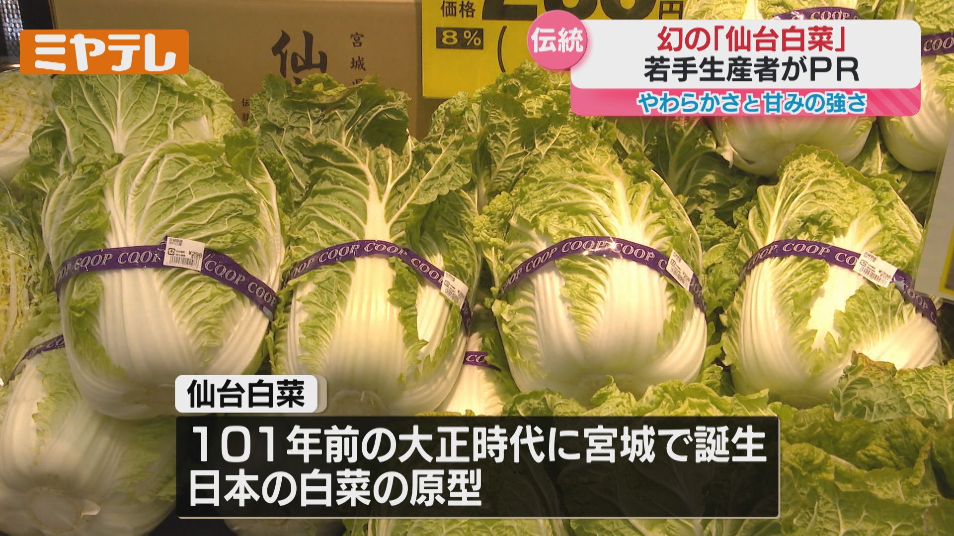 作りづらいけれどものすごく美味しい」“幻の白菜”と言われる『仙台白菜