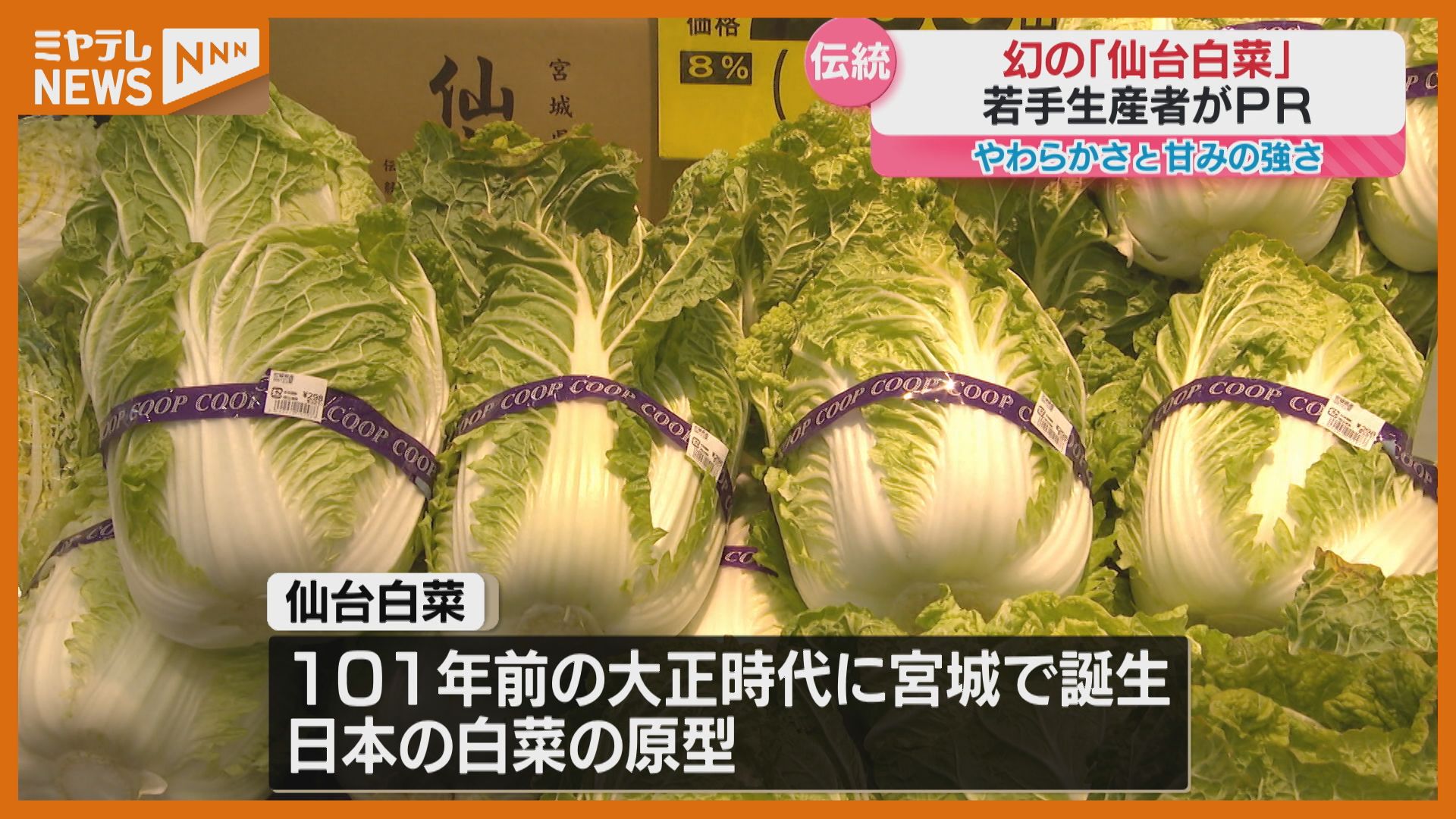 作りづらいけれどものすごく美味しい」“幻の白菜”と言われる『仙台白菜