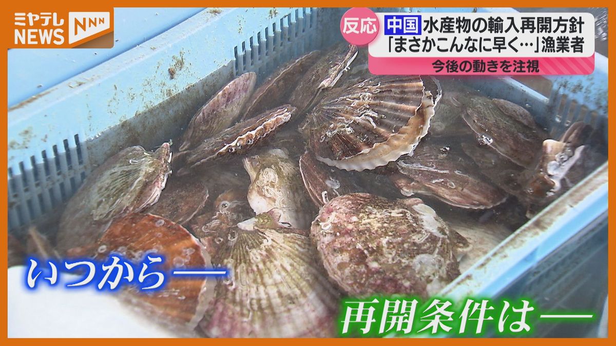 ＜”輸入再開”に期待＞処理水放出から1年あまりの水産関係者　中国が”日本産水産物”の輸入再開に合意（’宮城）