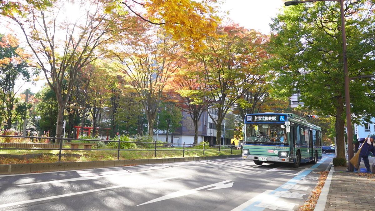 ＜商業団地の紅葉　仙台＞