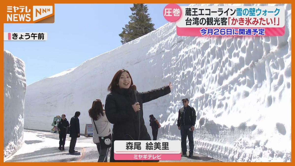 蔵王山の雪の壁「最大8mの圧巻の景色」エコーライン除雪作業も着々と