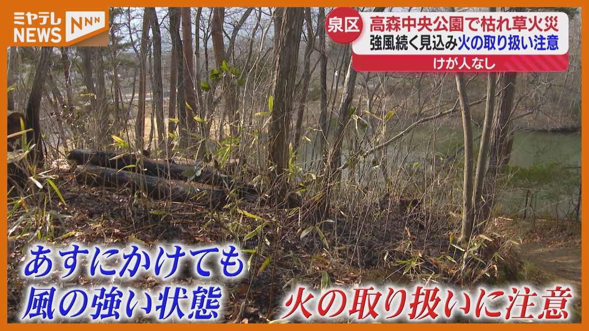 泉区の公園で火事「枯れ草が燃えている」約30分後に鎮火　ケガ人なし