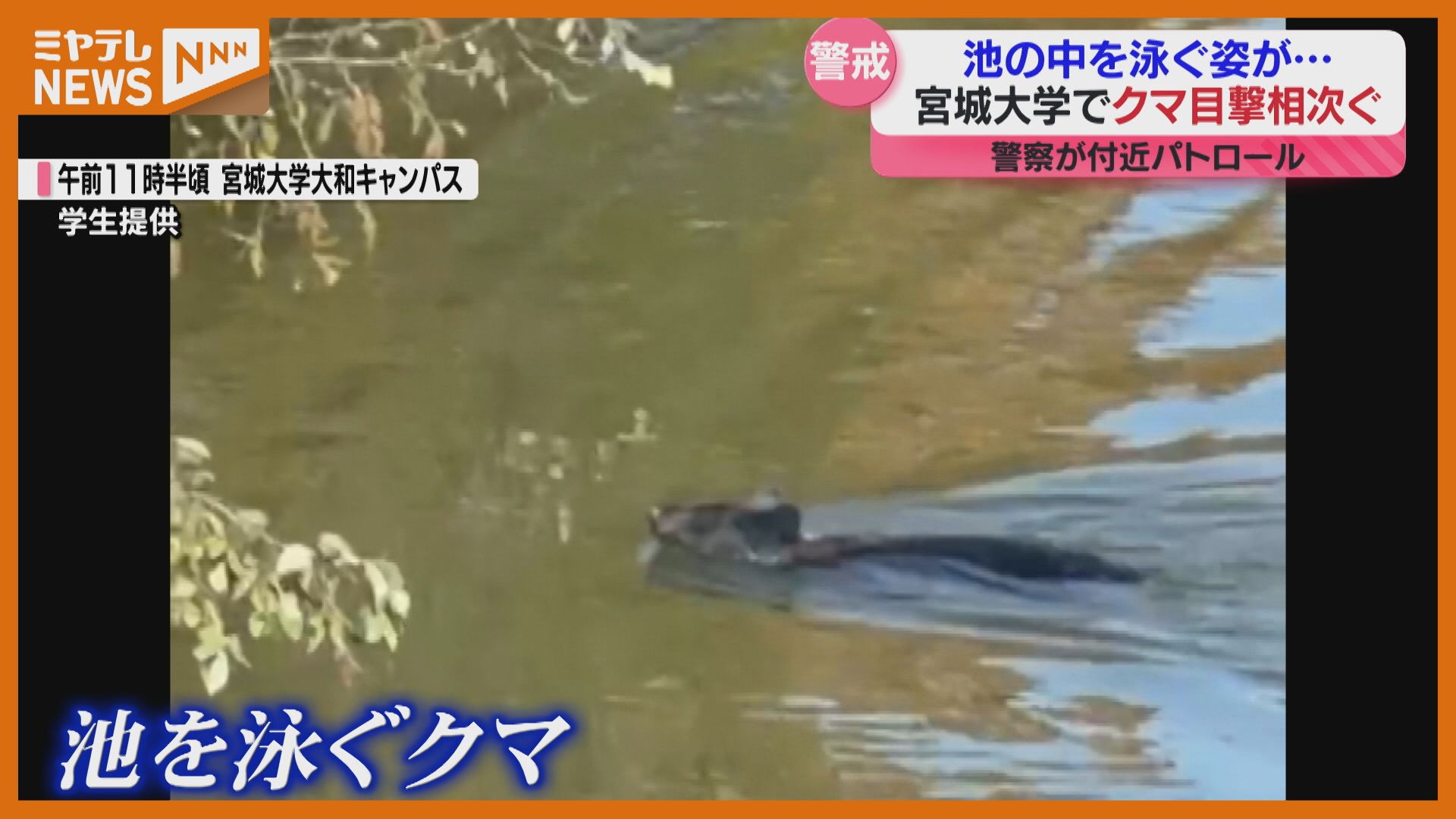 02b150d6-b1c7-4c6f-94a7-