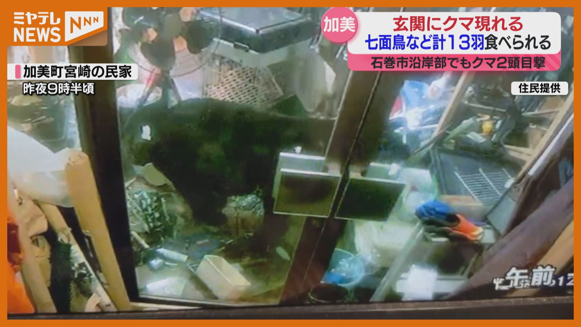 動画あり】「クマが身近過ぎて怖い」加美町の民家に侵入…飼っていた