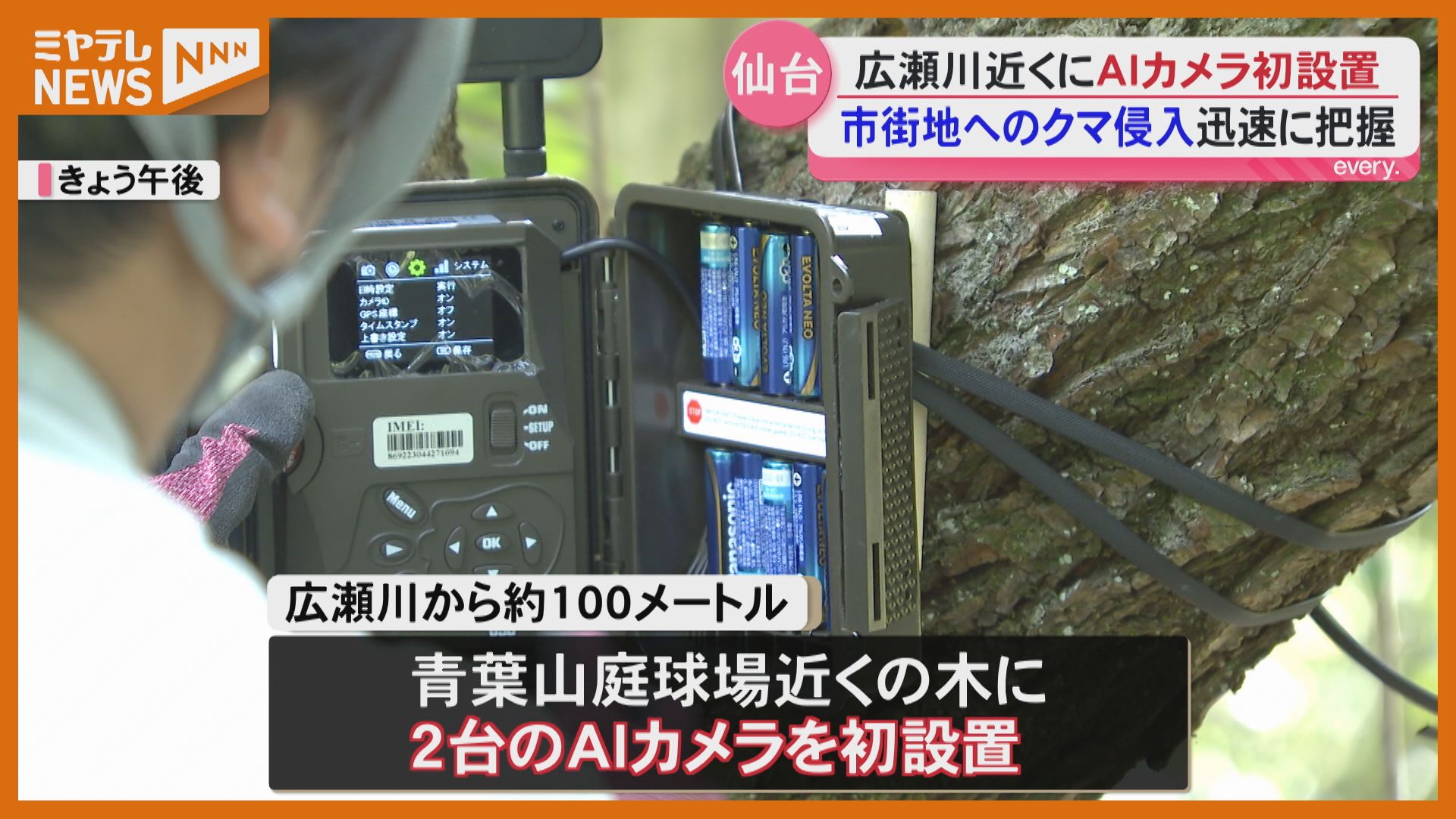 クマかどうかを自動で判別！仙台市が広瀬川近くにAIカメラ設置 宮城