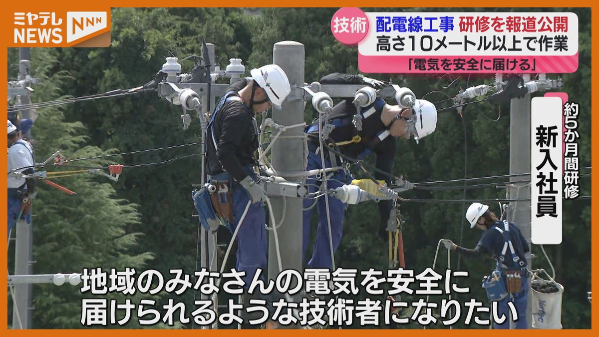 「最初は怖かった…」電力設備工事に携わる新入社員　電柱で”高所作業”研修＜報道公開＞　宮城・富谷市