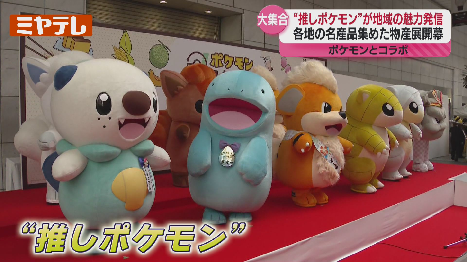 推しポケモン”15匹が大集合、『ポケモン』のオリジナル商品等集めた