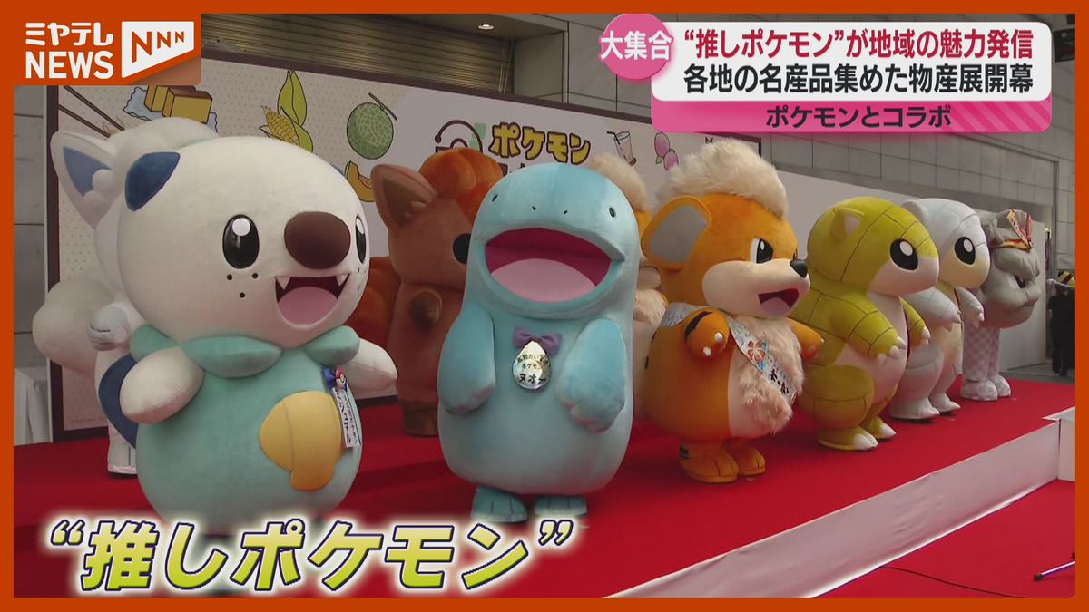 “推しポケモン”15匹が大集合、『ポケモン』のオリジナル商品等集めた物産展（仙台市）