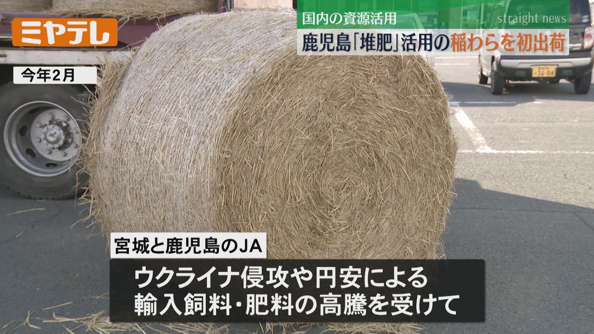 【国内の資源活用すすめたい】鹿児島の「堆肥」を活用して育てた「稲わら」　飼料用に初出荷（宮城）