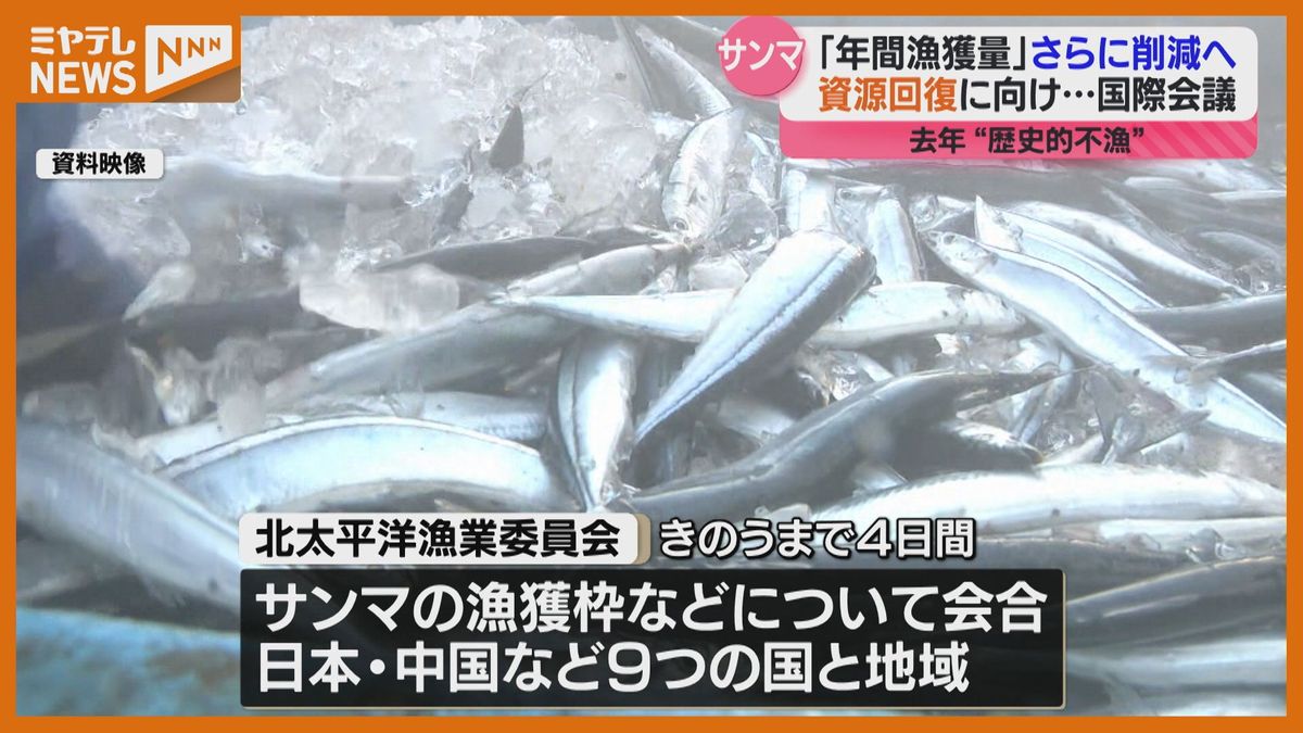 サンマの漁獲枠さらに削減へ　去年より10％減で気仙沼漁協「資源回復のきっかけになれば」