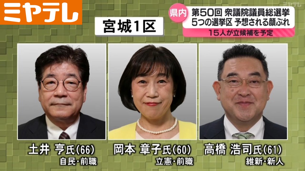 15日公示＞『第50回衆議院議員総選挙』 5つの小選挙区に15人が立候補予定（宮城）（2024年10月14日掲載）｜ミヤテレNEWS NNN