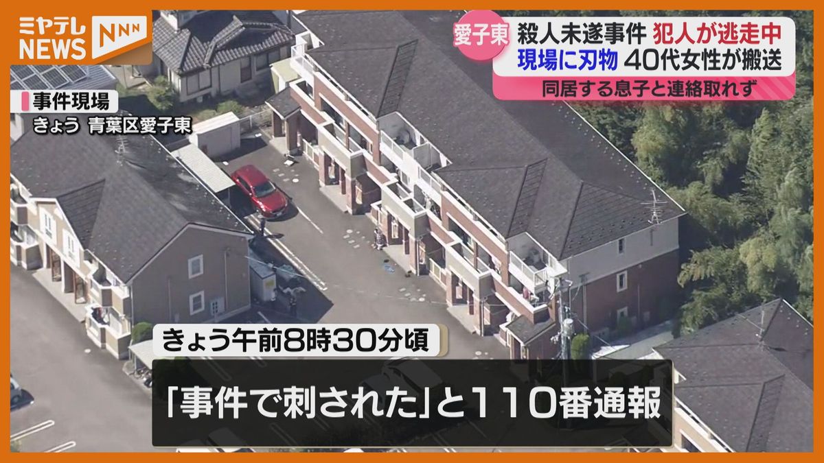 ＜同居する息子（10代）と連絡取れず＞仙台市内のアパートで女性が刃物で刺される殺人未遂事件　犯人逃走中