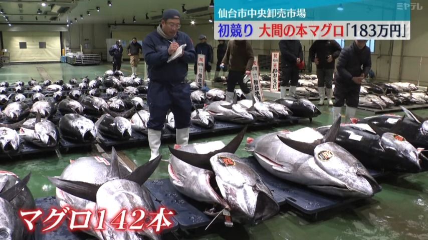 大間の本マグロ１８３万円で落札「この時期の本マグロは全然味が違う」初競り・仙台市中央卸売市場