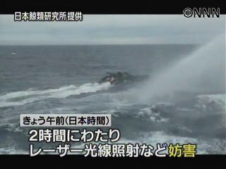 シー・シェパード、調査捕鯨母船を妨害