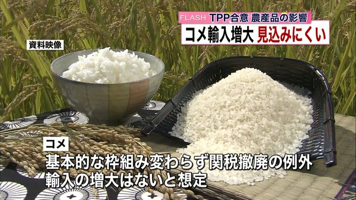 TPP影響分析 コメ輸入増大ないと想定